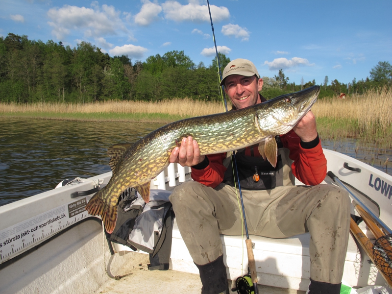 contenu manquant